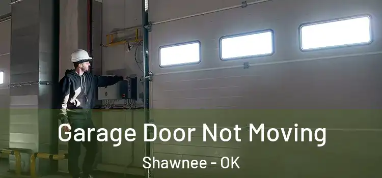  Garage Door Not Moving Shawnee - OK