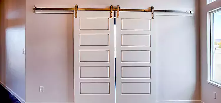 Glass Barn Door with Installation Hardware Kit Shawnee