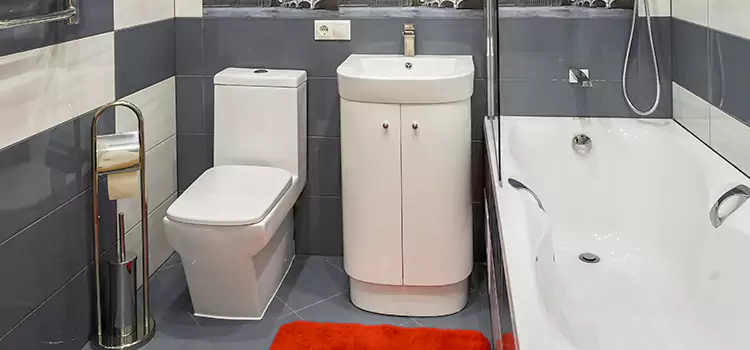 Hansgrohe Shaving Mirror Shawnee